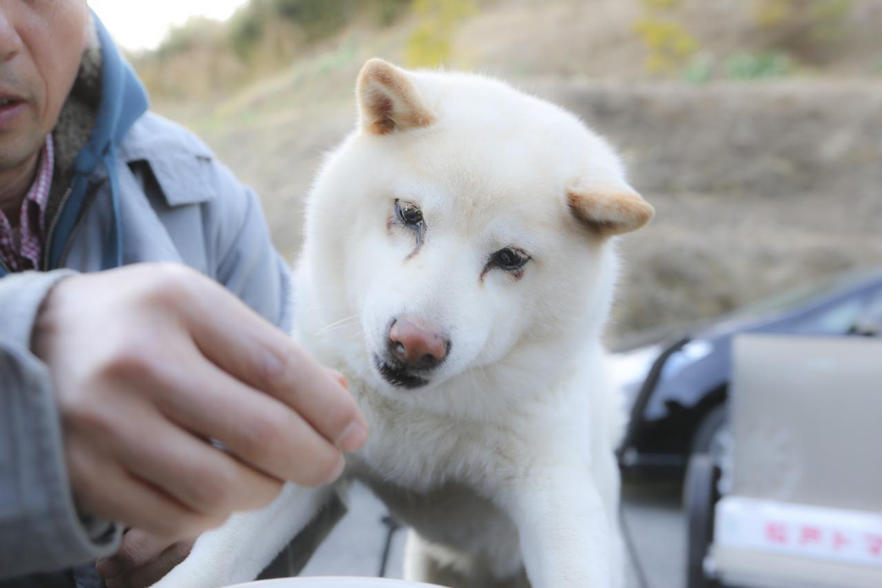 南房总市农场旅馆山林小屋 外观 照片